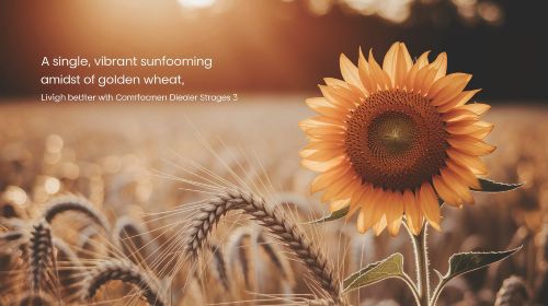 Living better with chronic kidney disease stage 3