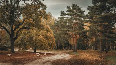 Natural Ways to Support Your Body’s Healing Process